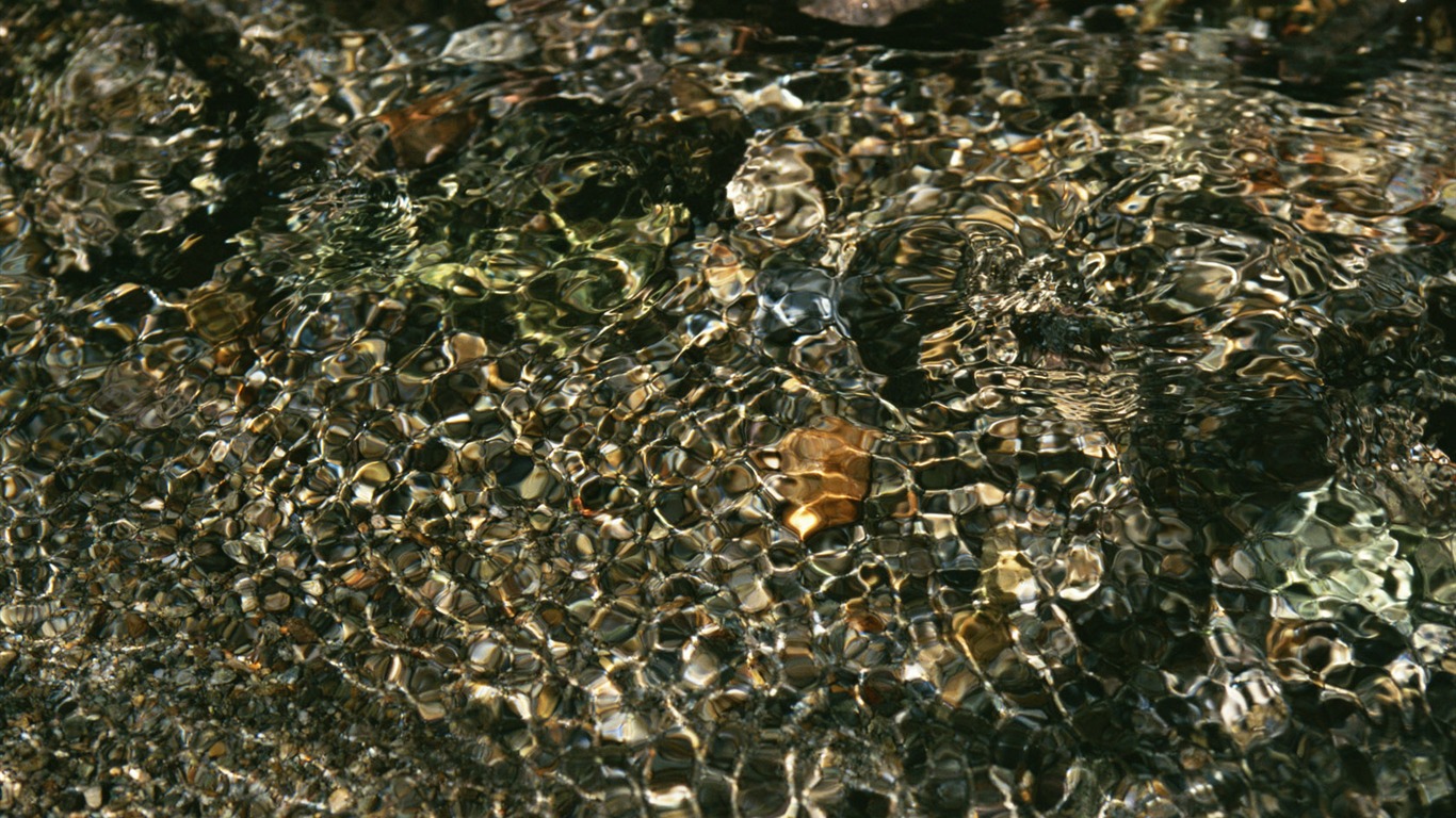 Stream Celovečerní Wallpaper (2) #6 - 1366x768