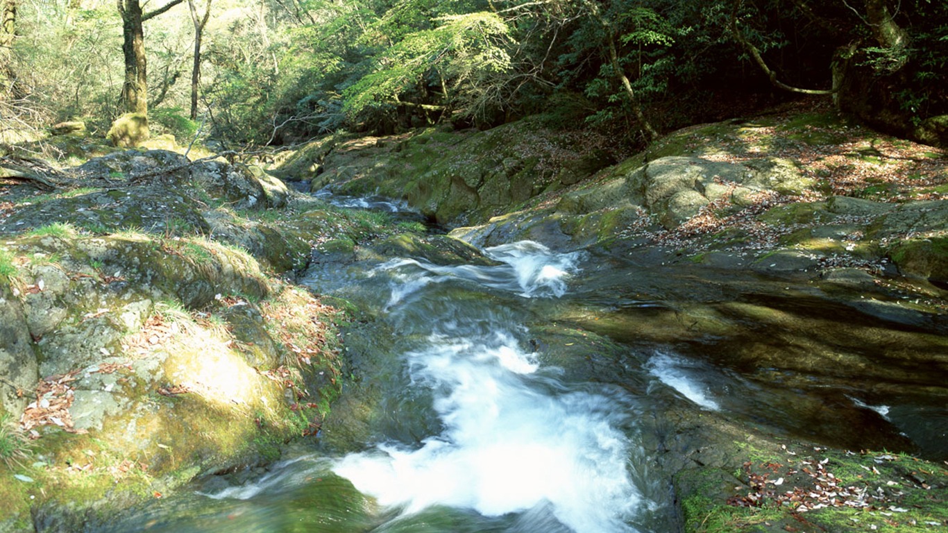 Cascada arroyos fondo de pantalla (1) #4 - 1366x768