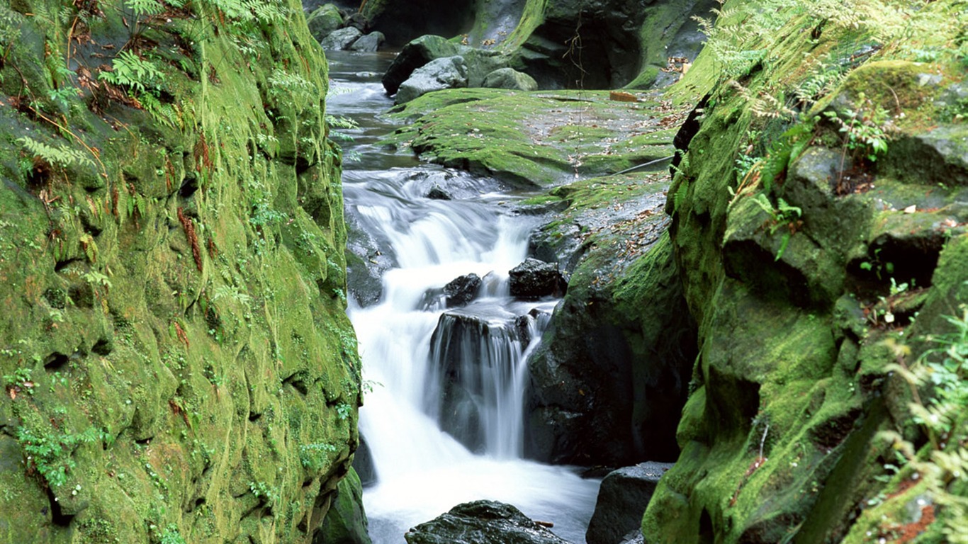 Cascada arroyos fondo de pantalla (1) #5 - 1366x768