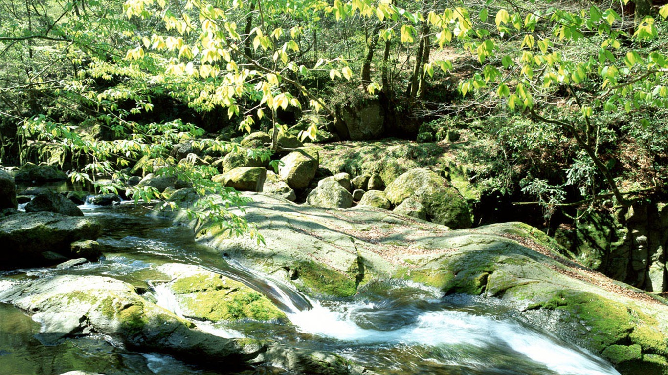 瀑布溪流 壁紙(一) #15 - 1366x768