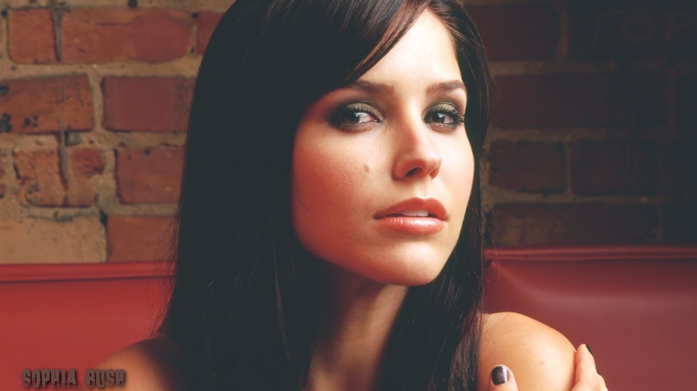 Sophia Bush beau fond d'écran #3 - 1366x768