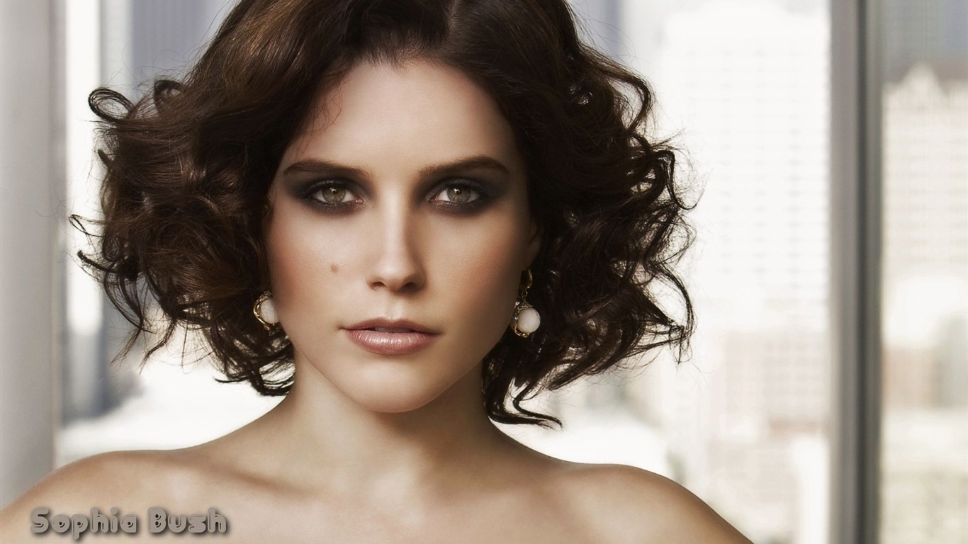 Sophia Bush krásnou tapetu #11 - 1366x768