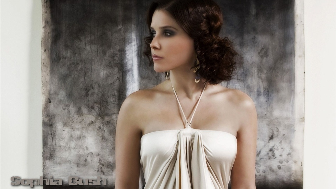 Sophia Bush krásnou tapetu #12 - 1366x768