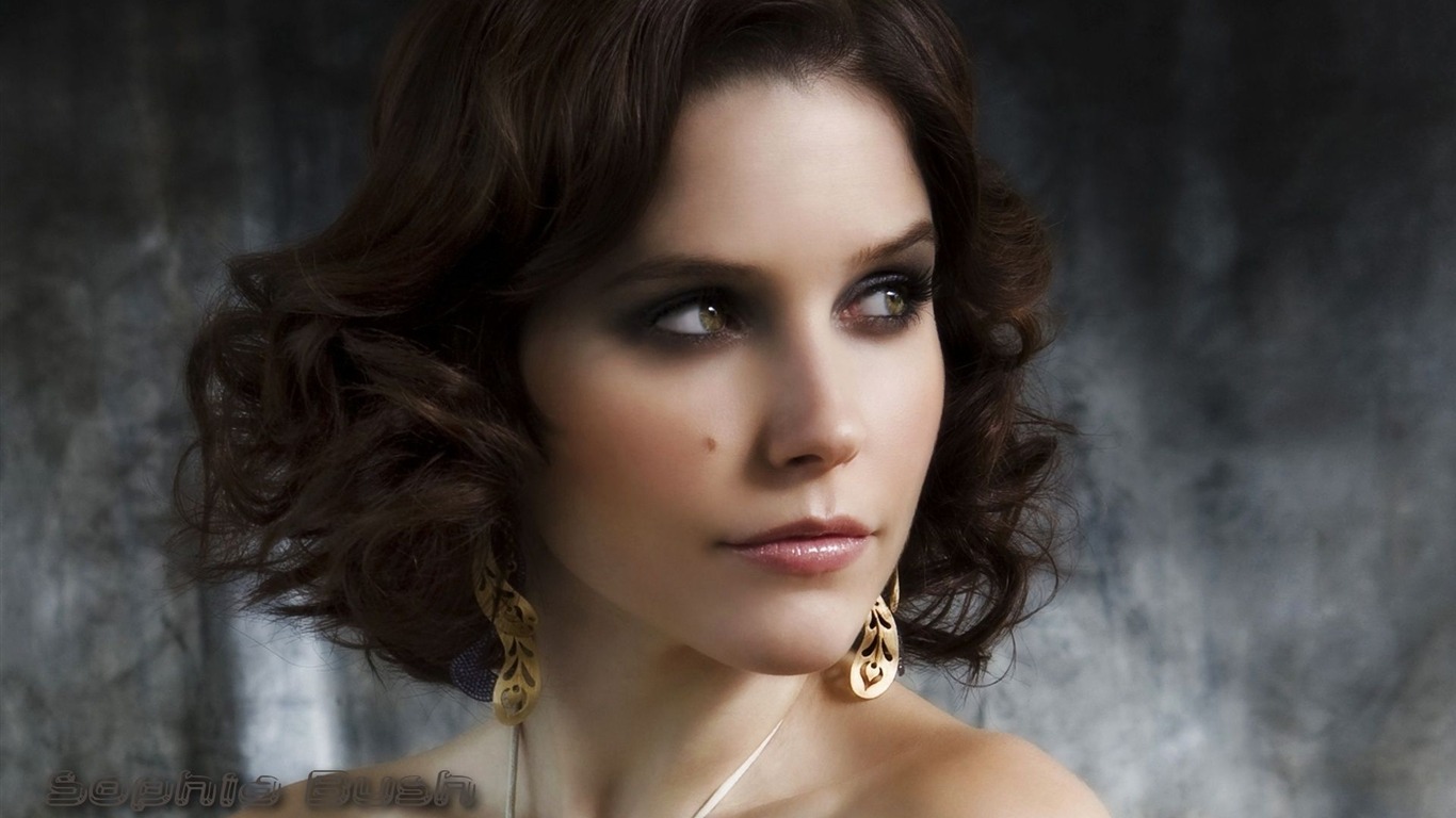 Sophia Bush 索菲亚·布什 美女壁纸15 - 1366x768