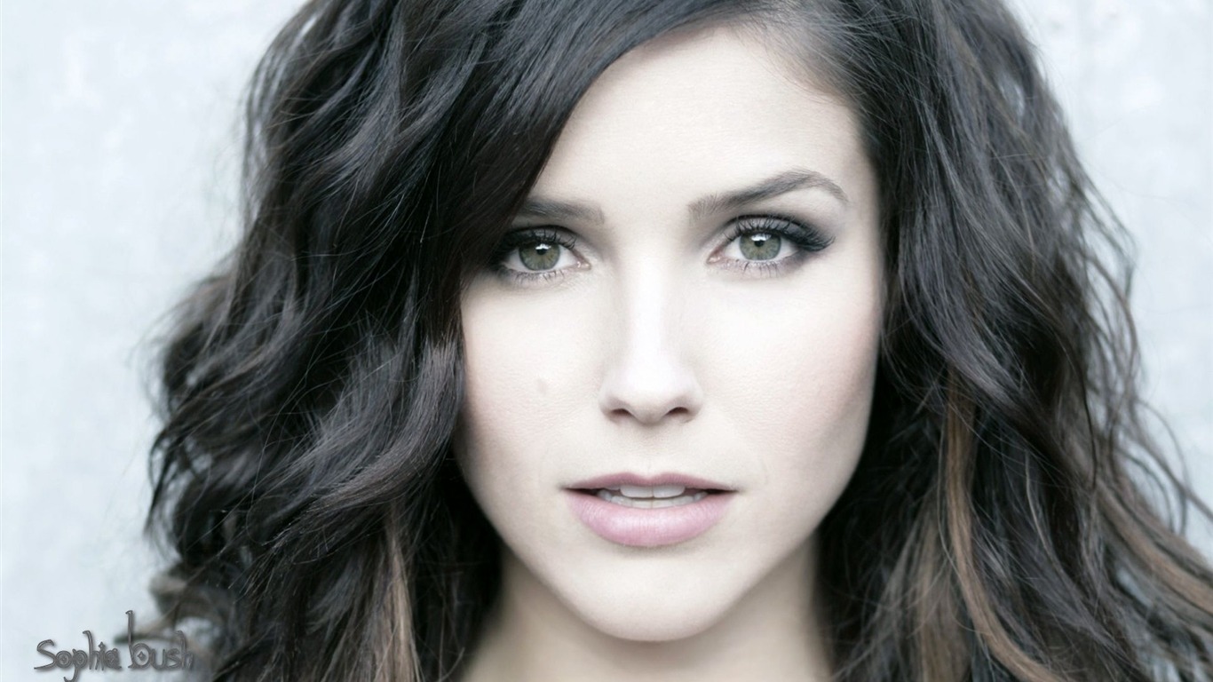 Sophia Bush krásnou tapetu #17 - 1366x768