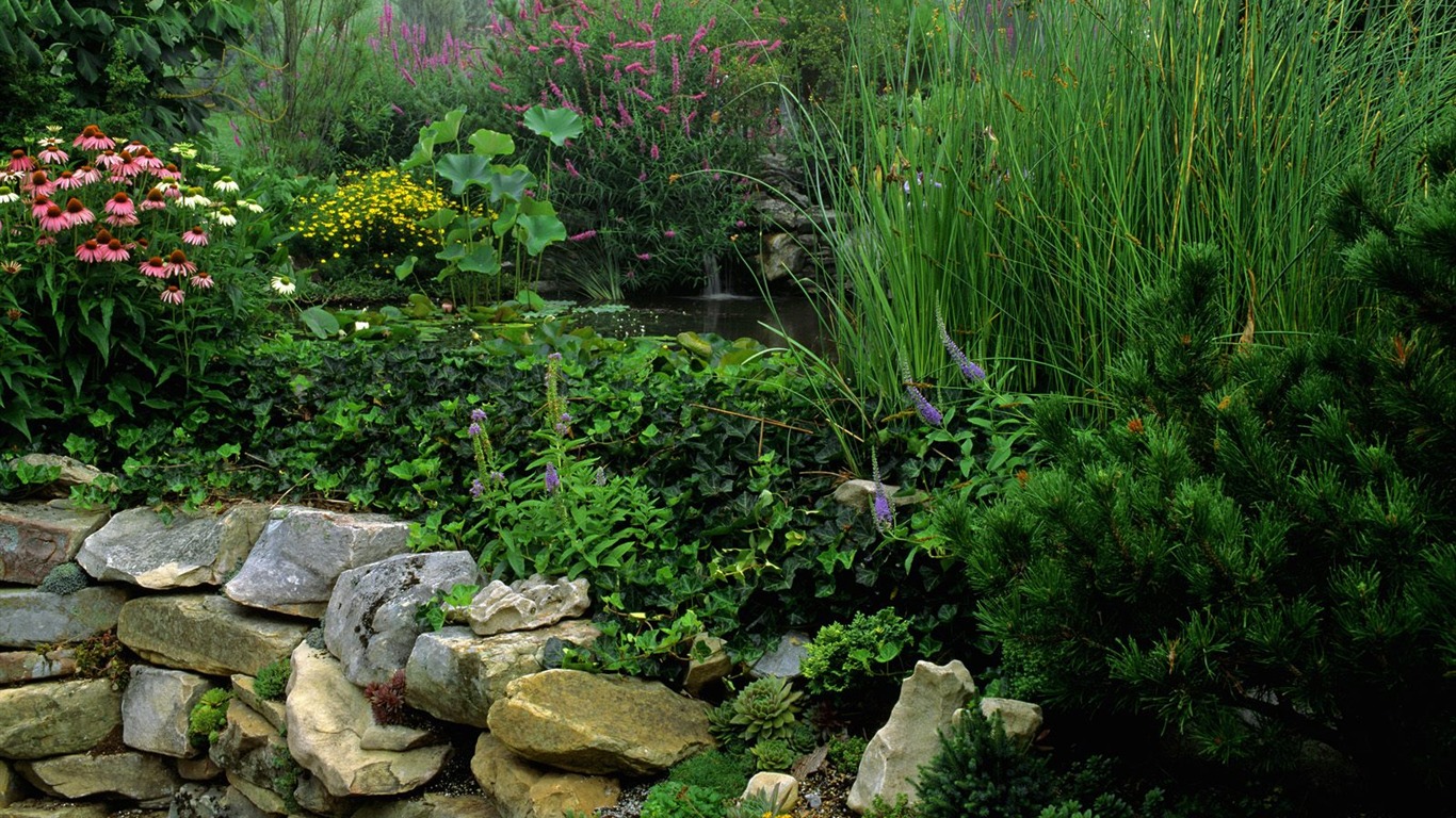 Planter des arbres fonds d'écran (3) #18 - 1366x768