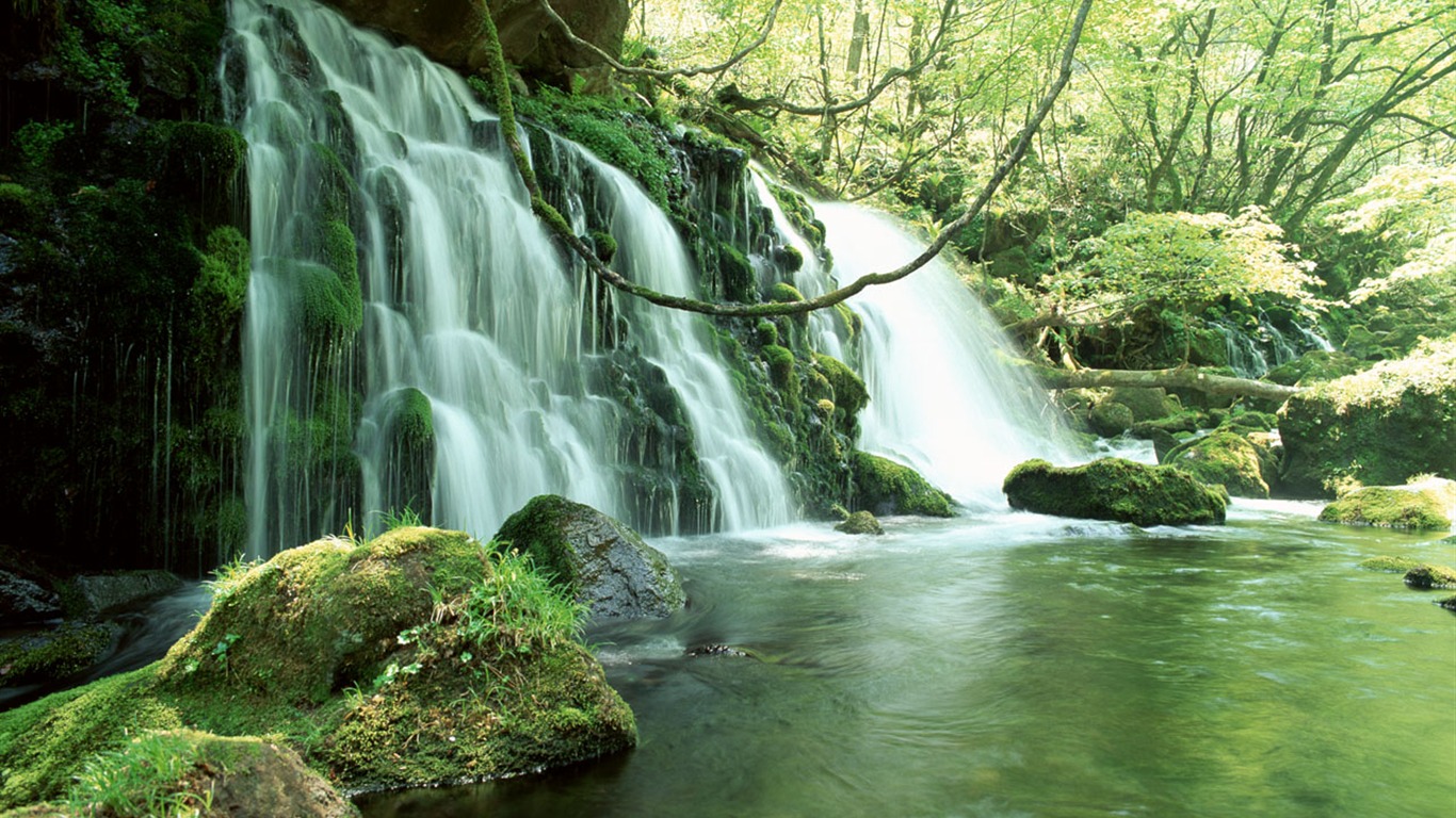 Cascada arroyos fondo de pantalla (2) #1 - 1366x768