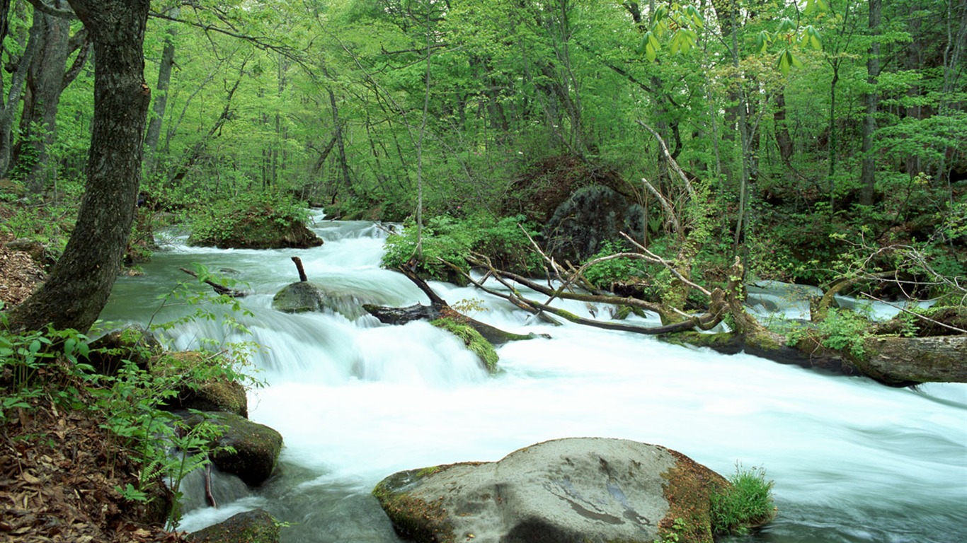 Cascada arroyos fondo de pantalla (2) #4 - 1366x768