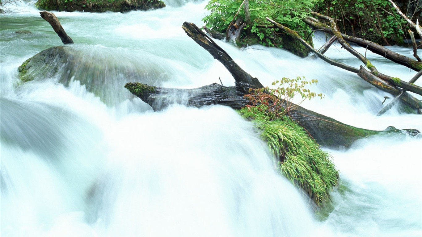 Cascada arroyos fondo de pantalla (2) #11 - 1366x768