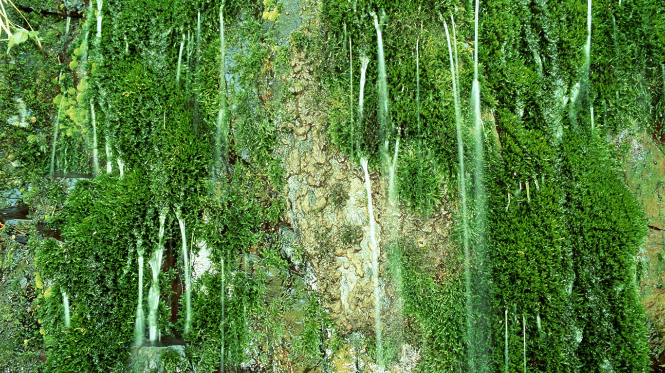 Waterfall streams wallpaper (2) #19 - 1366x768