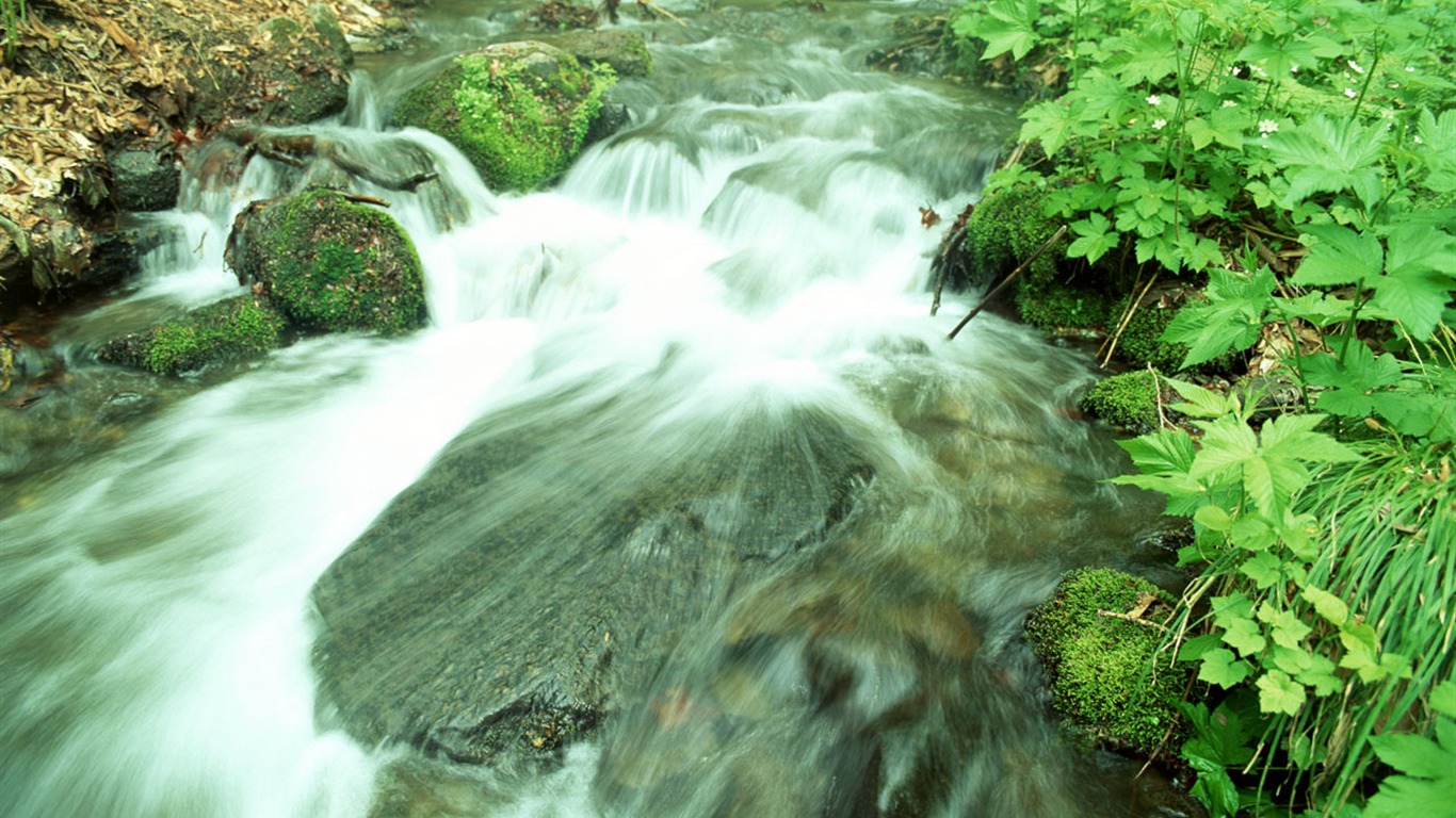 Cascada arroyos fondo de pantalla (2) #20 - 1366x768