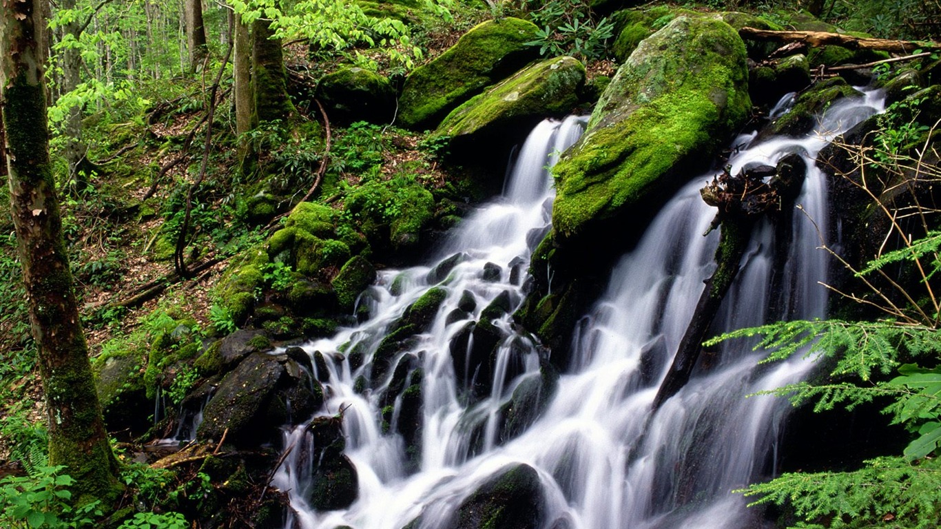 Cascada arroyos fondo de pantalla (3) #3 - 1366x768