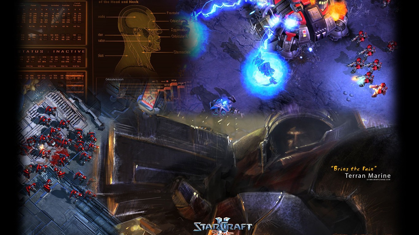 StarCraft 2 星際爭霸 2 高清壁紙 #27 - 1366x768