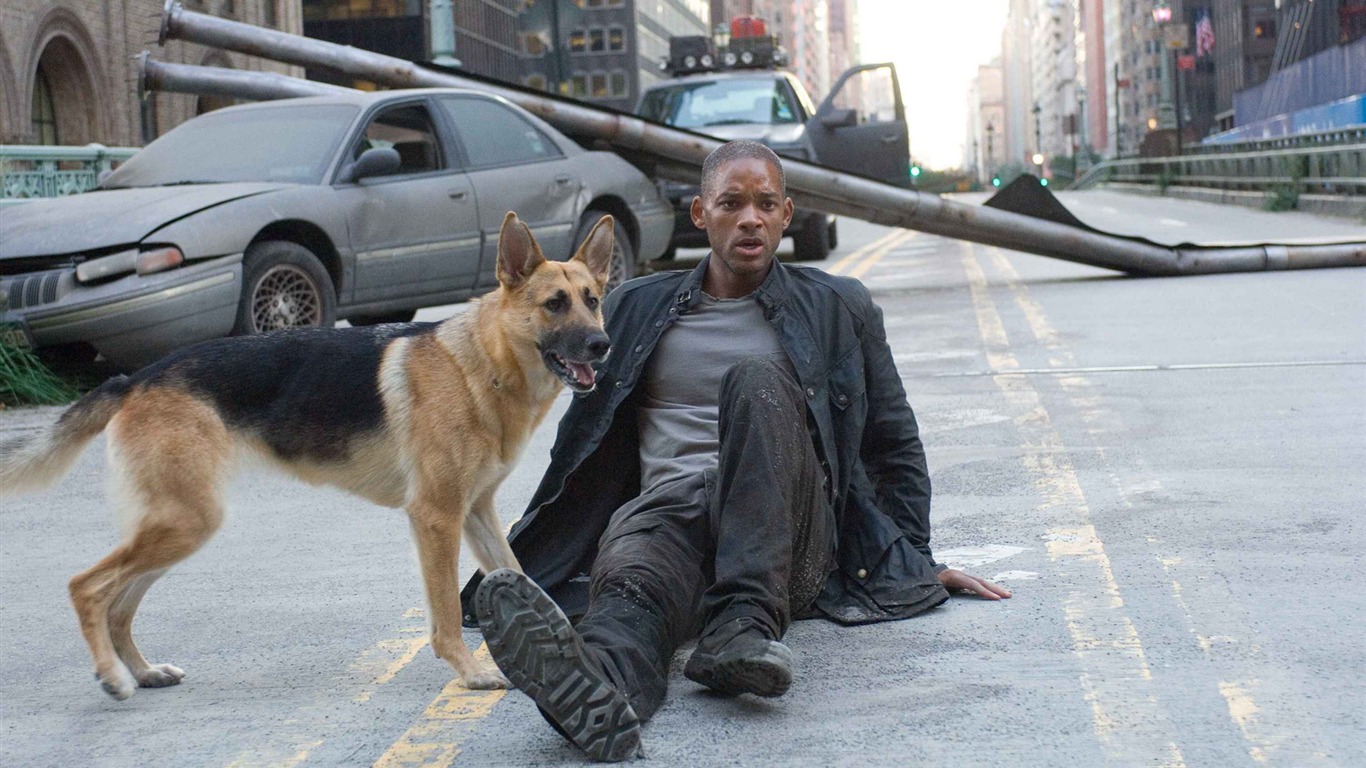 I Am Legend 我是傳奇 高清壁紙 #2 - 1366x768