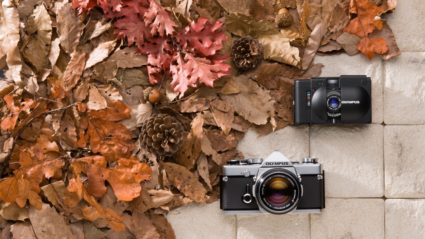 OLYMPUS tapety (5) #1 - 1366x768