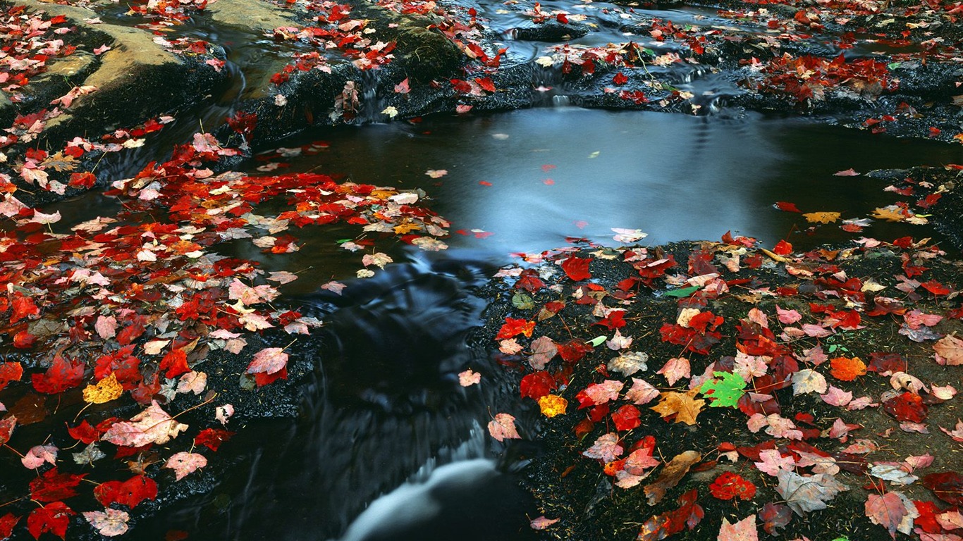 瀑布溪流 壁紙(五) #12 - 1366x768