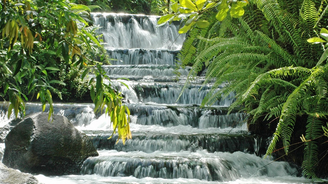 Cascada arroyos fondo de pantalla (5) #19 - 1366x768