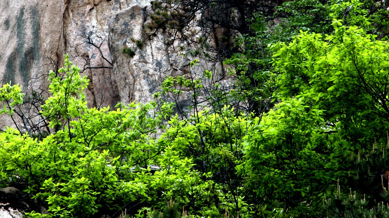 Fotografování krajiny (2) (Li Shanquan práce) #6 - 1366x768