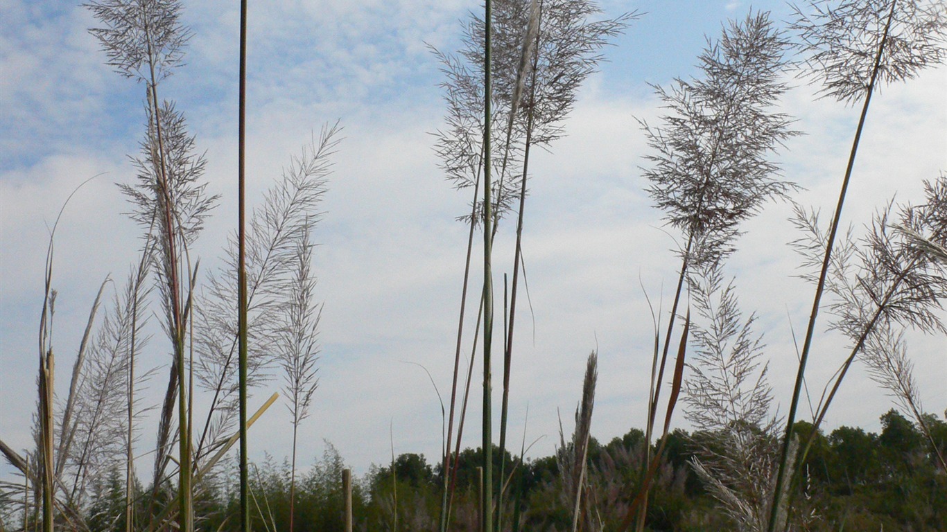 Fotografía de paisaje (2) (Li trabaja Shanquan) #9 - 1366x768