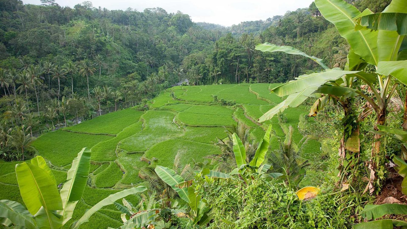 Eat, Pray, Love HD wallpaper #37 - 1366x768