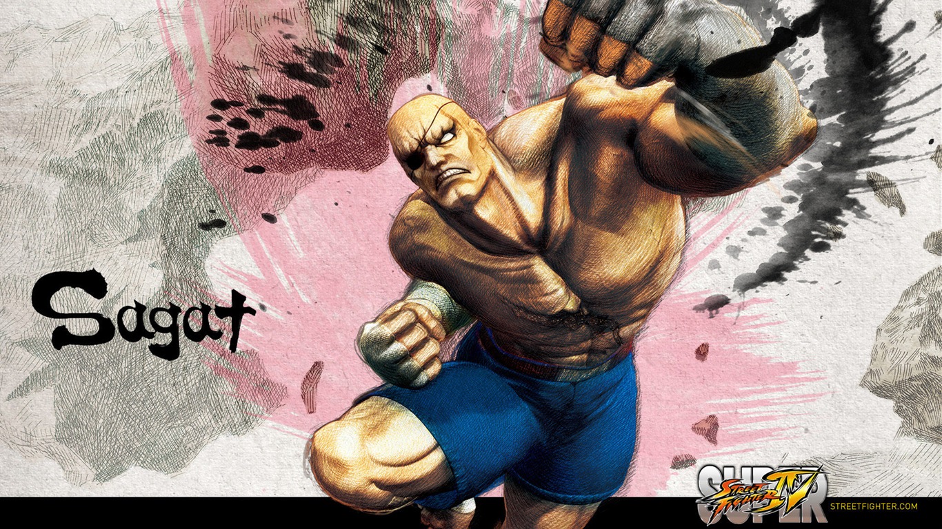 Super Street Fighter 4 HD Wallpapers #10 - 1366x768
