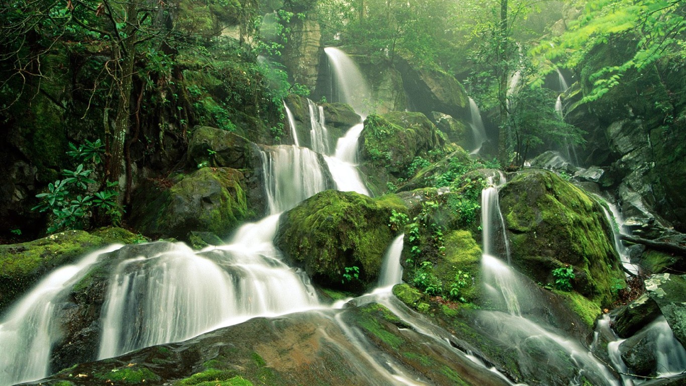 Cascada arroyos fondo de pantalla (6) #6 - 1366x768