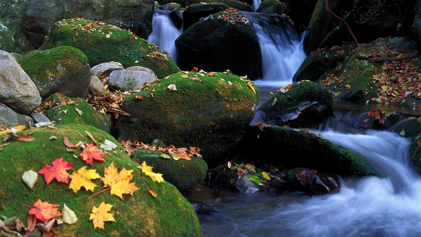 Waterfall streams wallpaper (6) #19 - 1366x768