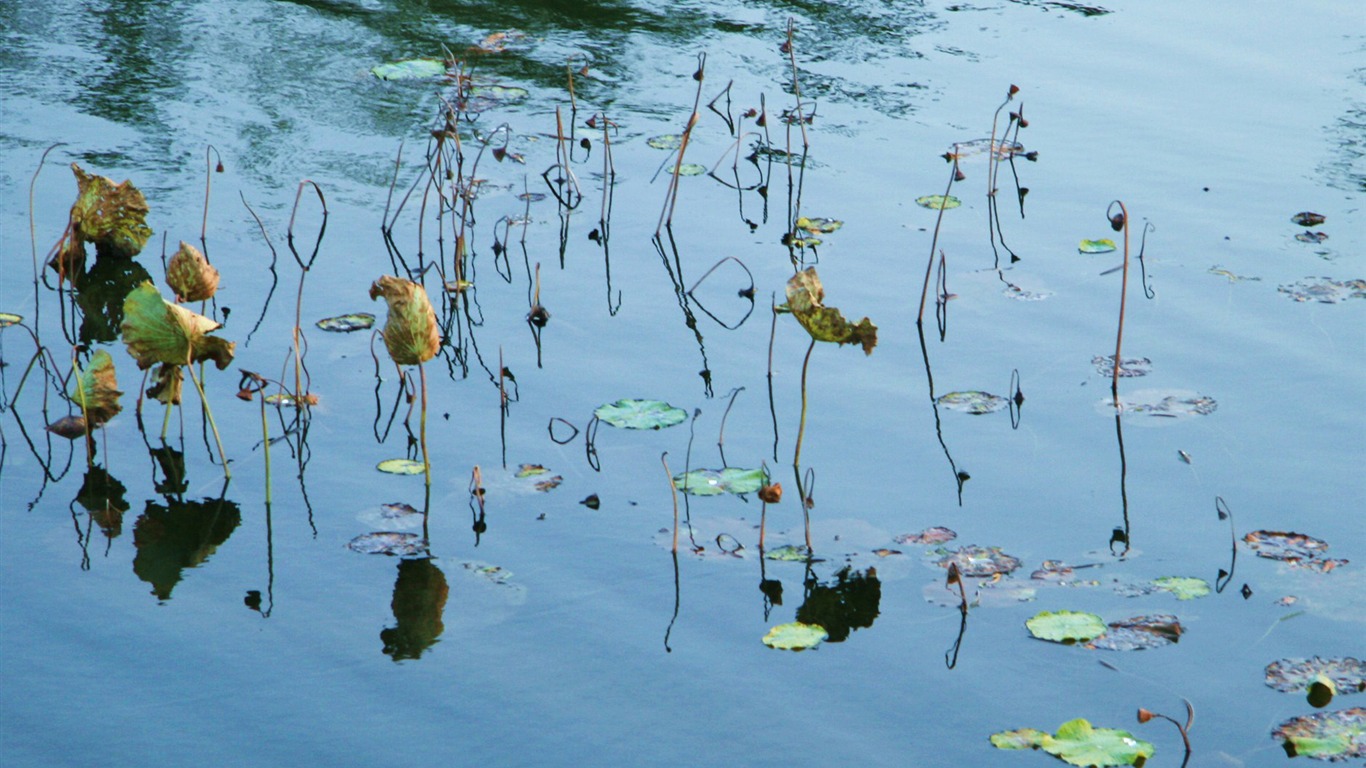 Landscape photography (4) (Li Shanquan works) #18 - 1366x768