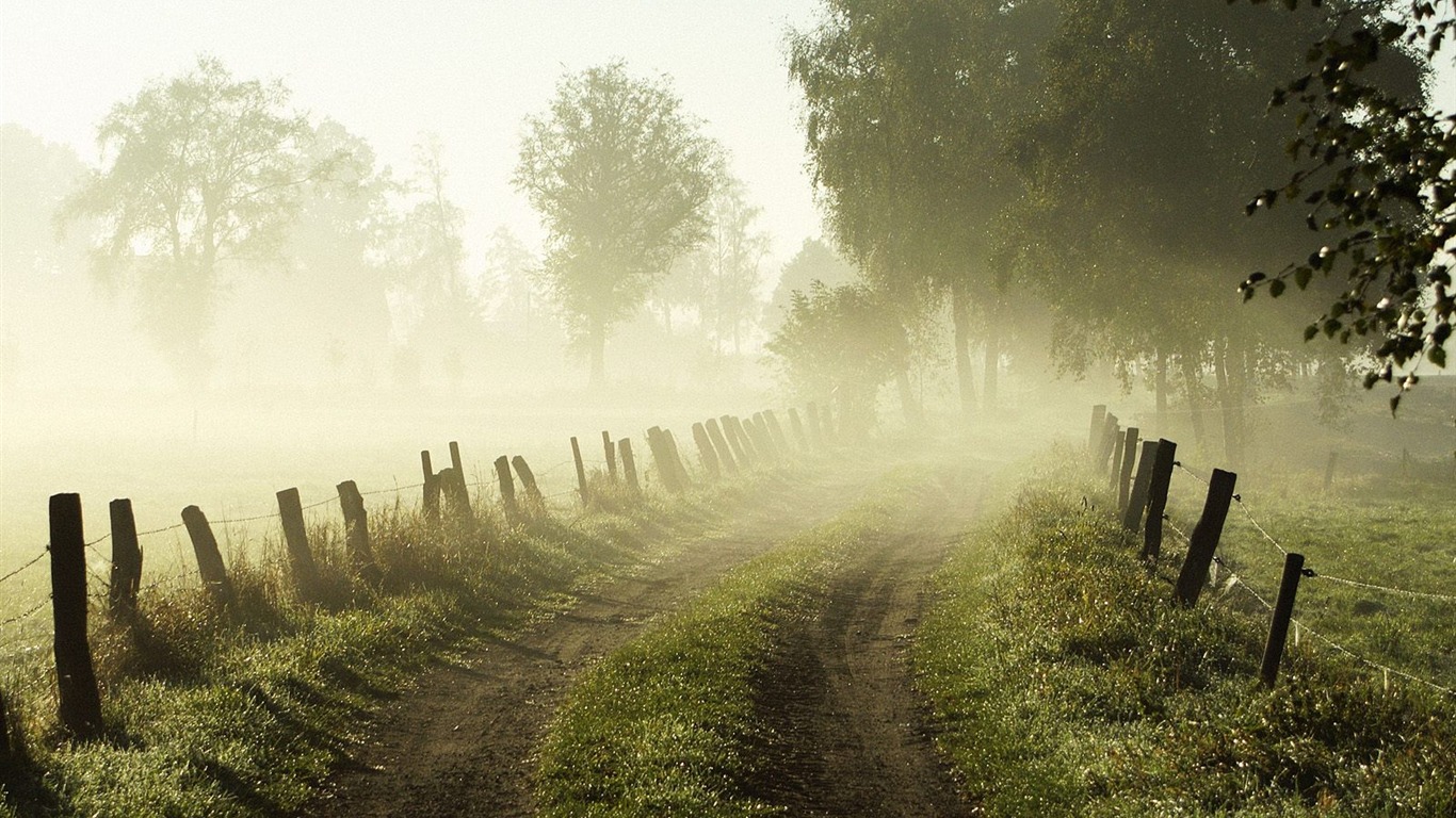 Zasadit stromy, tapety (8) #2 - 1366x768