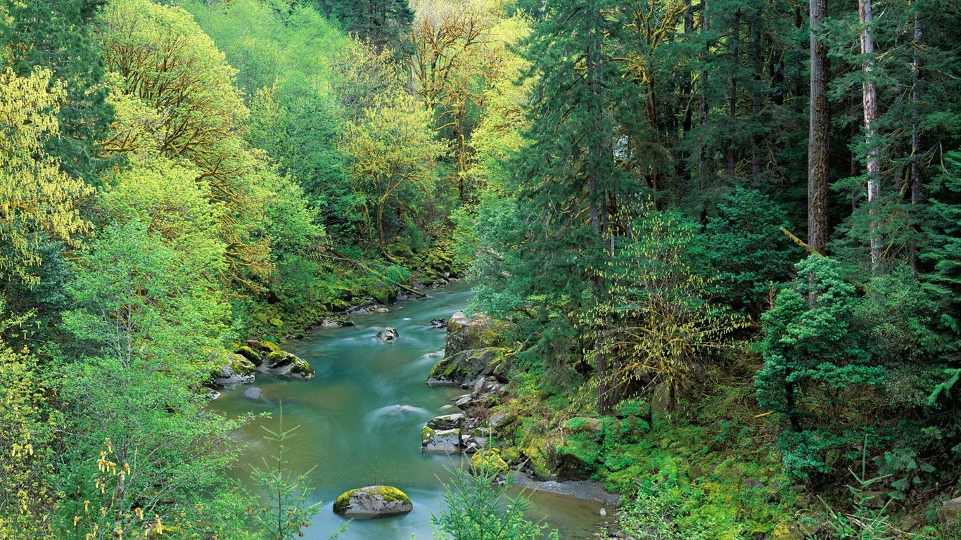 Vodopád proudy tapety (7) #13 - 1366x768
