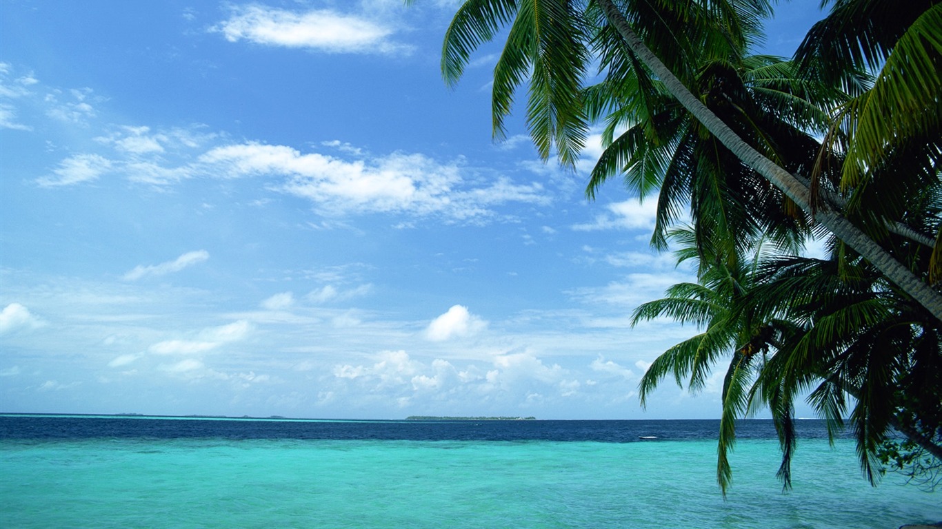 Beach Landschaft Wallpaper (1) #2 - 1366x768