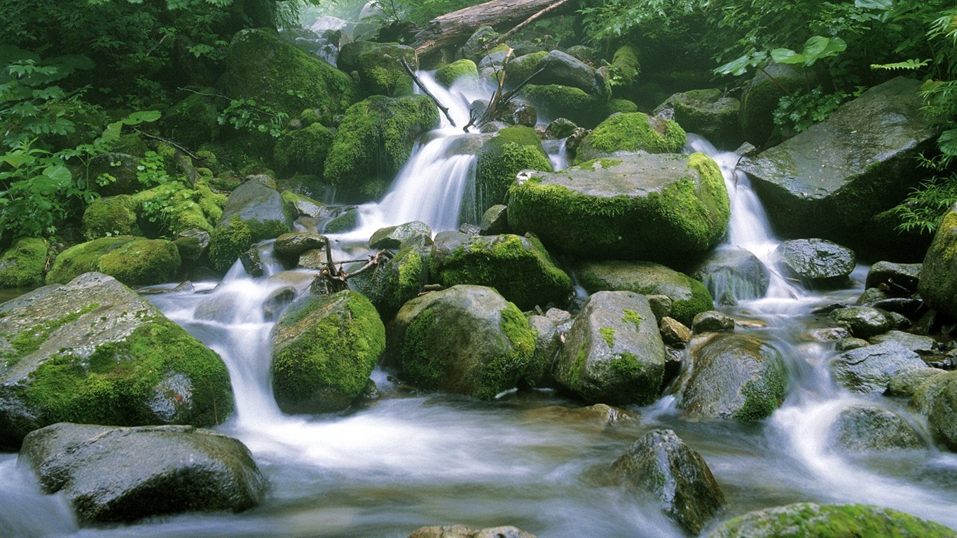 瀑布溪流 壁紙(八) #16 - 1366x768