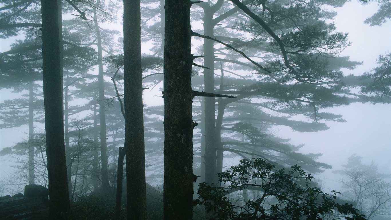 Fotografování krajiny (9) (Li Shanquan práce) #5 - 1366x768