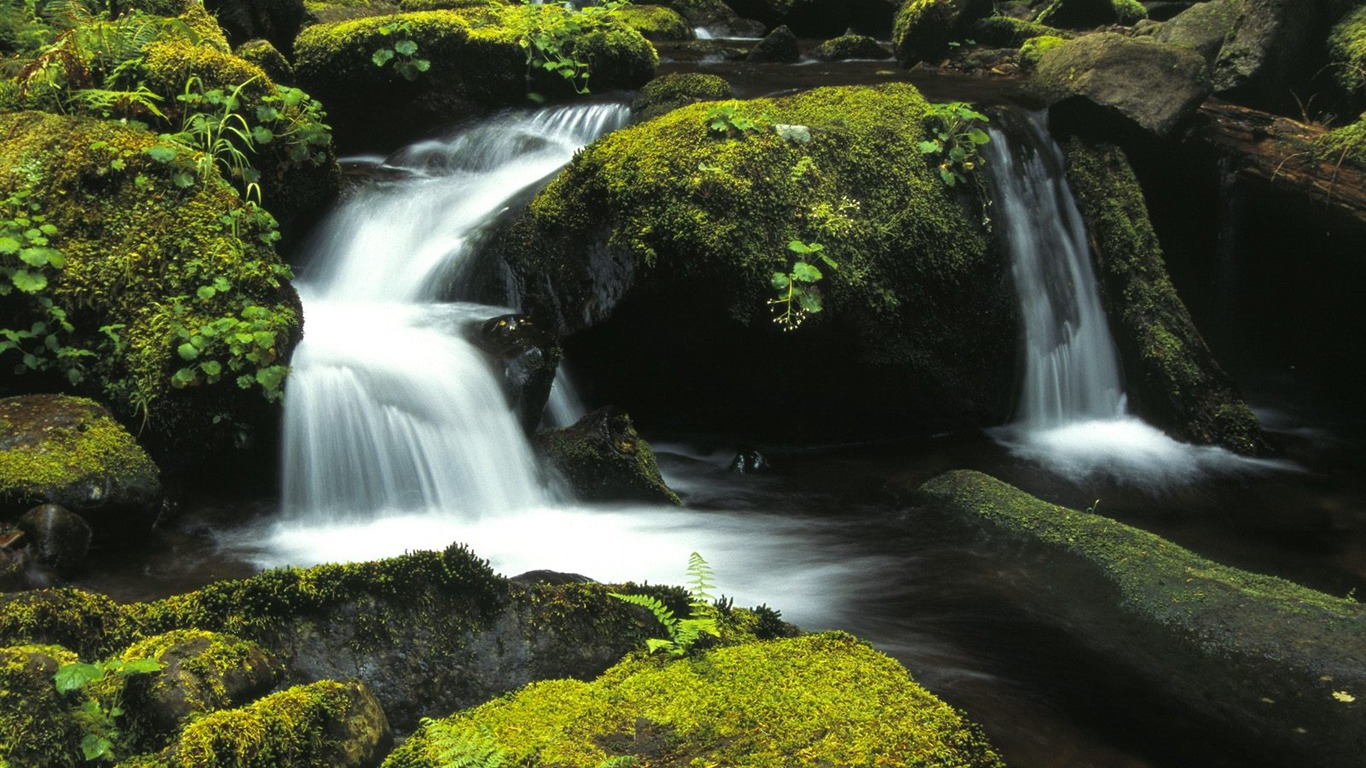 Waterfall streams wallpaper (10) #18 - 1366x768