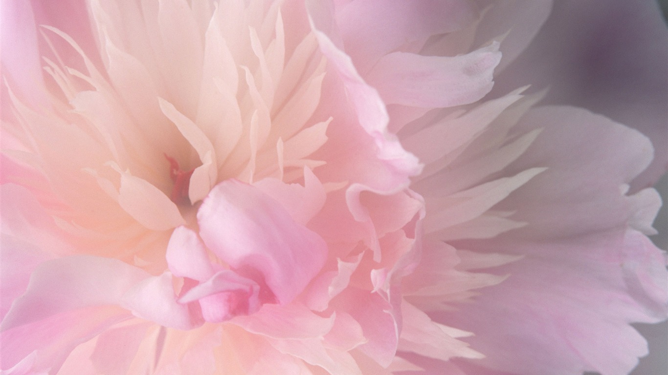 MAC OS X 系統 高清壁紙(一) #5 - 1366x768