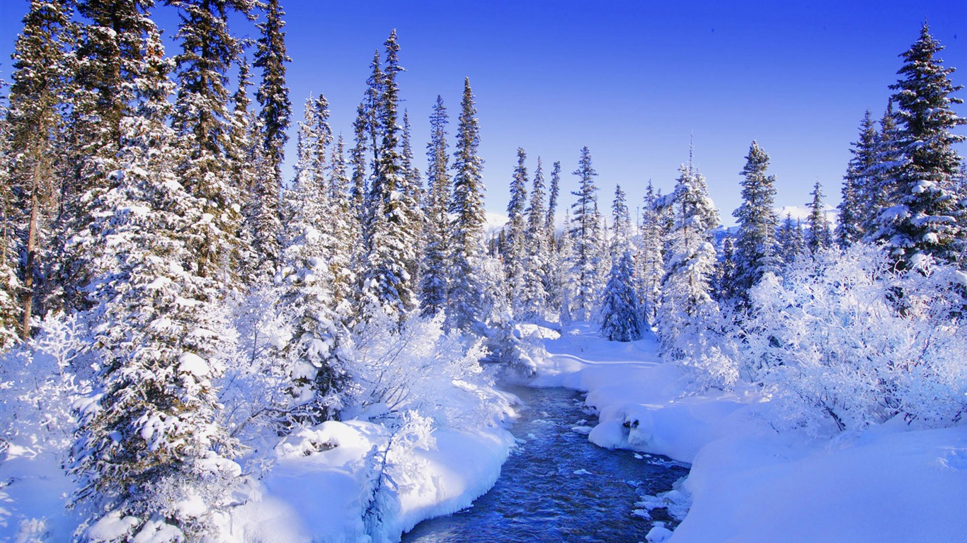 Snow widescreen wallpaper (1) #1 - 1366x768