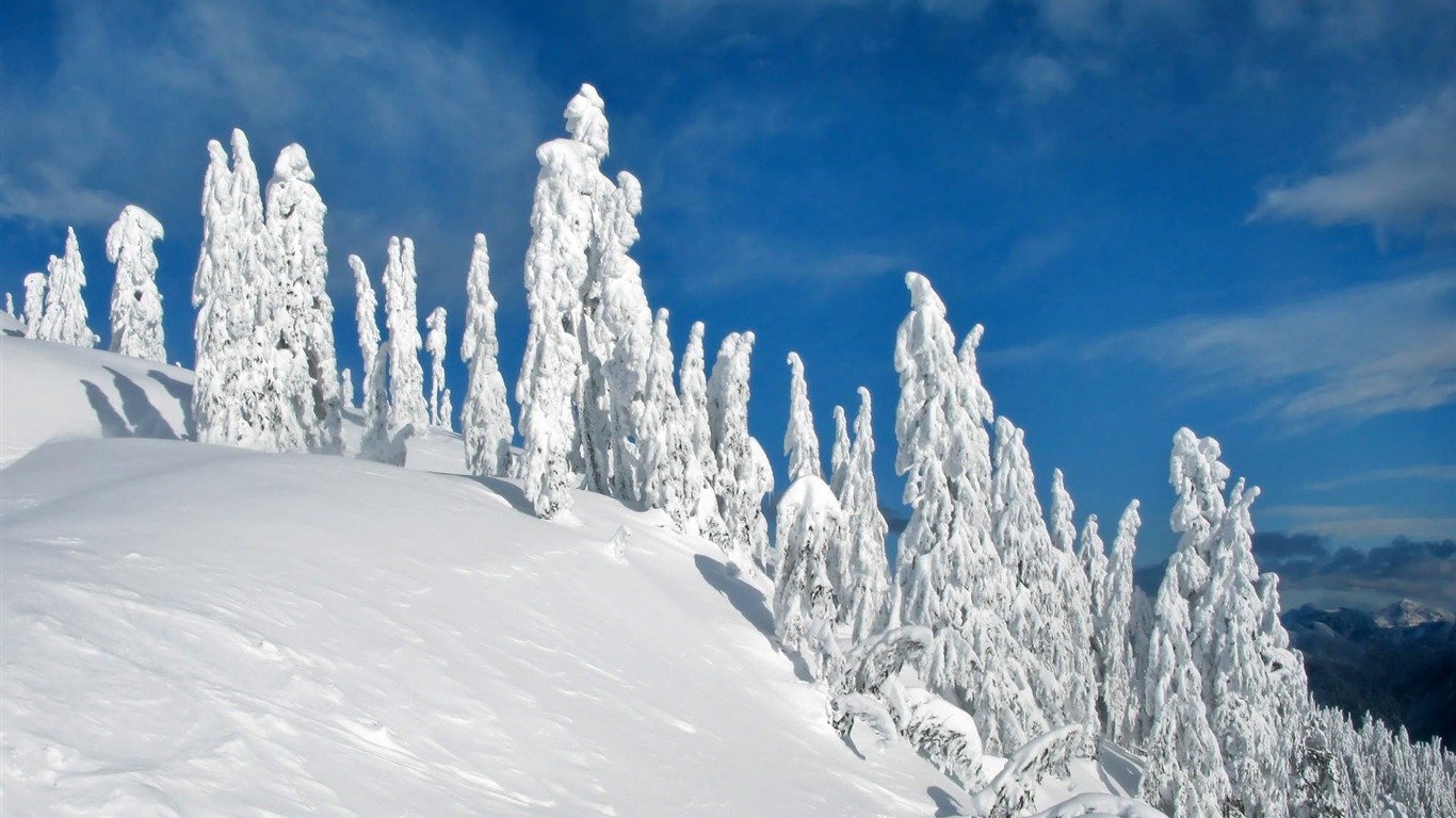 寬屏雪景 壁紙(一) #4 - 1366x768