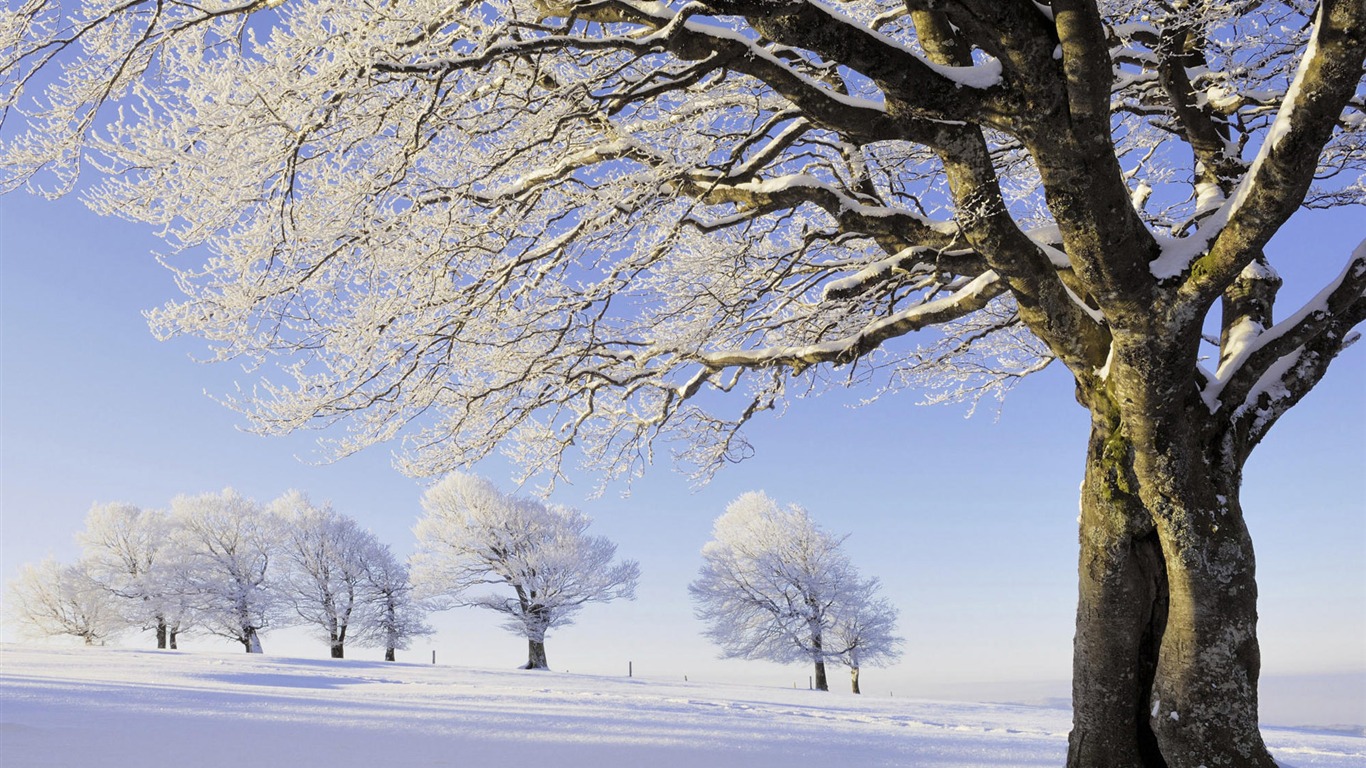 Fond d'écran panoramique de neige (1) #6 - 1366x768