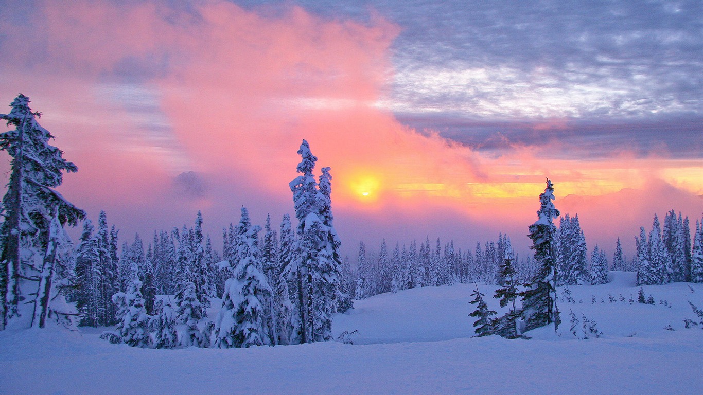 Fond d'écran panoramique de neige (1) #10 - 1366x768