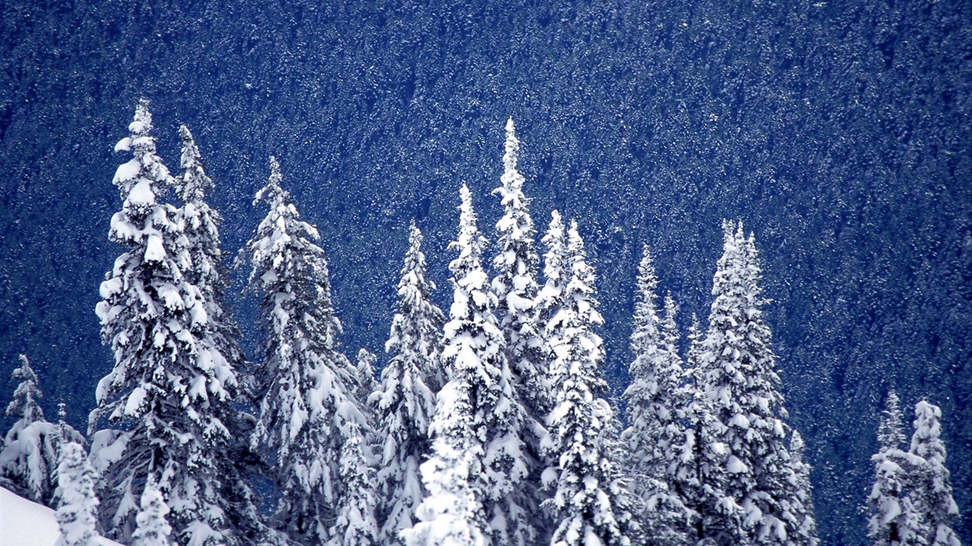 Fond d'écran panoramique de neige (1) #14 - 1366x768