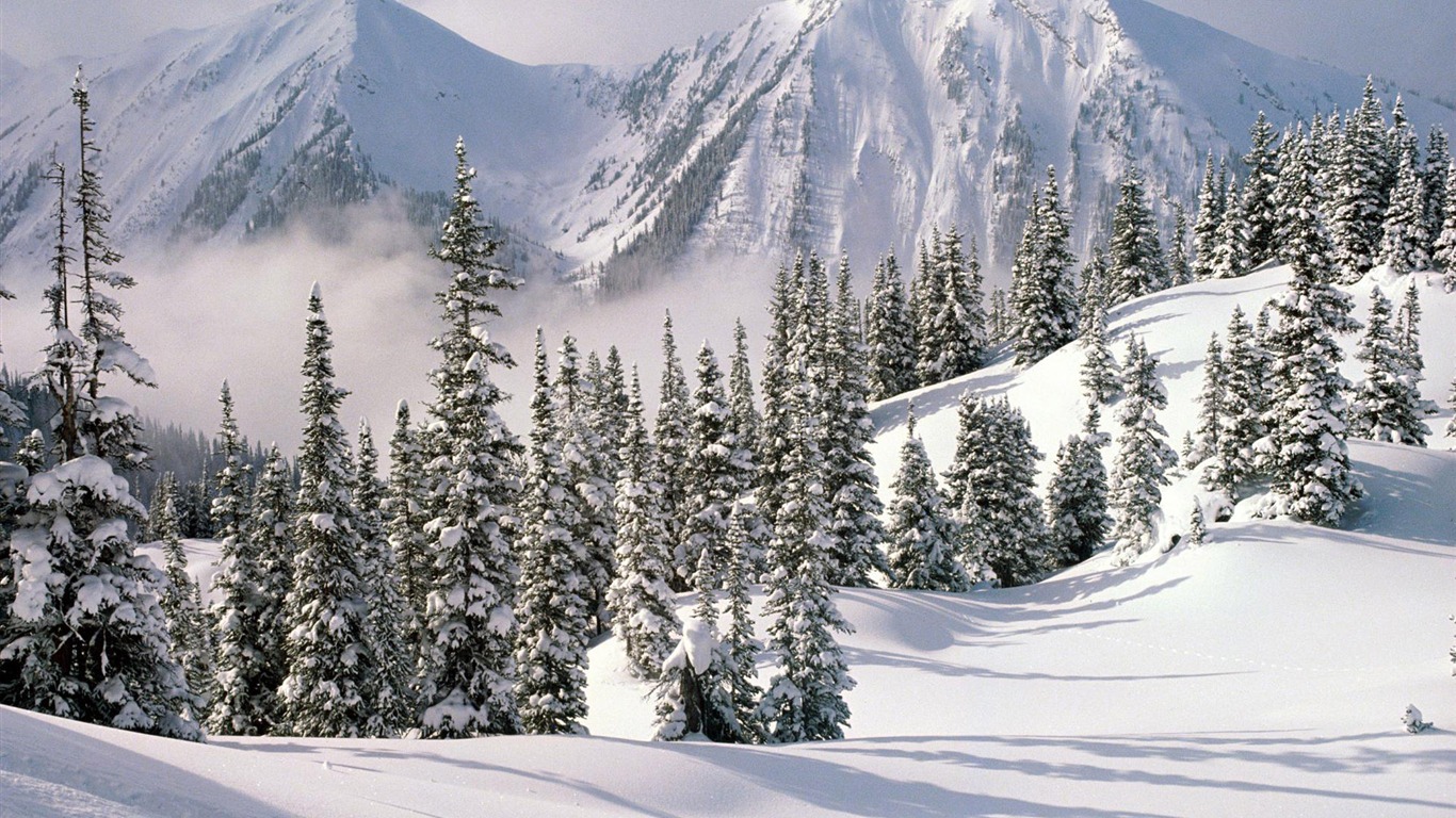 Fond d'écran panoramique de neige (1) #19 - 1366x768