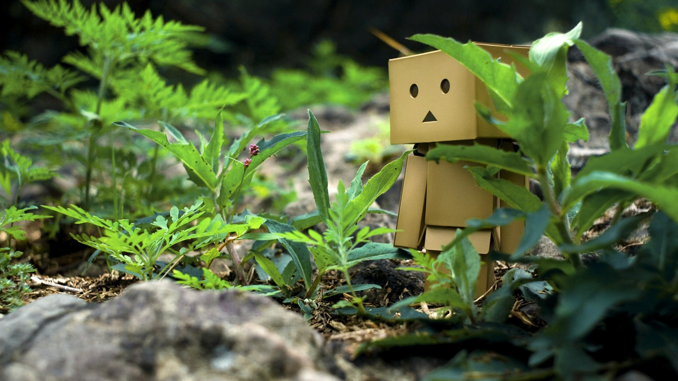 紙箱人阿楞 壁紙專輯 #2 - 1366x768