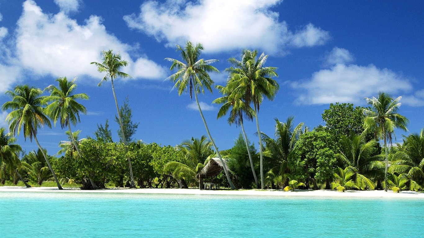 Beach Krajina tapety (5) #16 - 1366x768