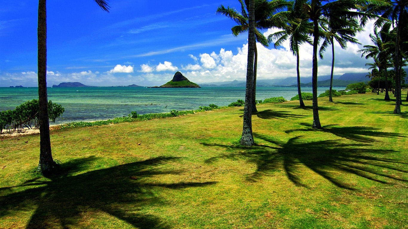 Fonds d'écran paysage de plage (5) #17 - 1366x768