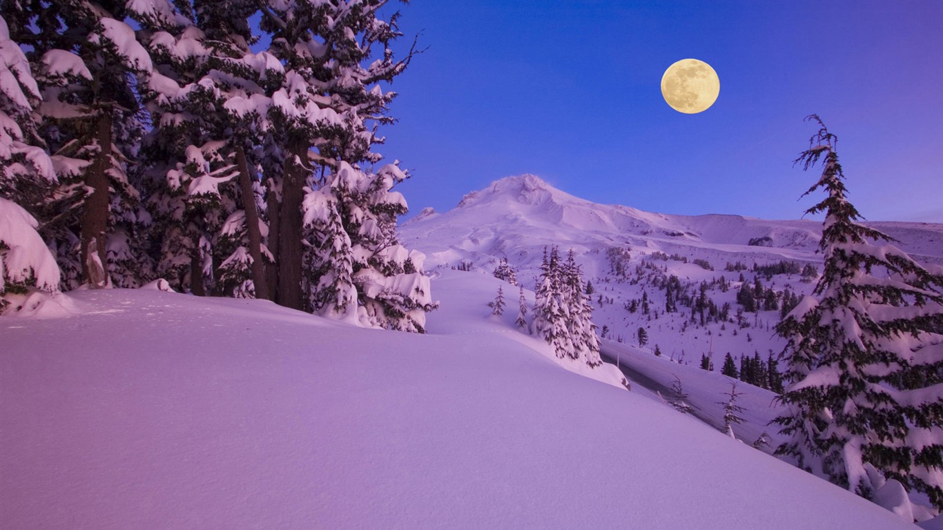 Snow widescreen wallpaper (2) #6 - 1366x768