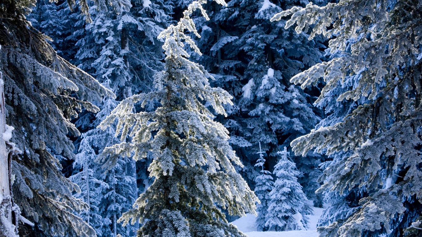 Fond d'écran panoramique de neige (2) #16 - 1366x768