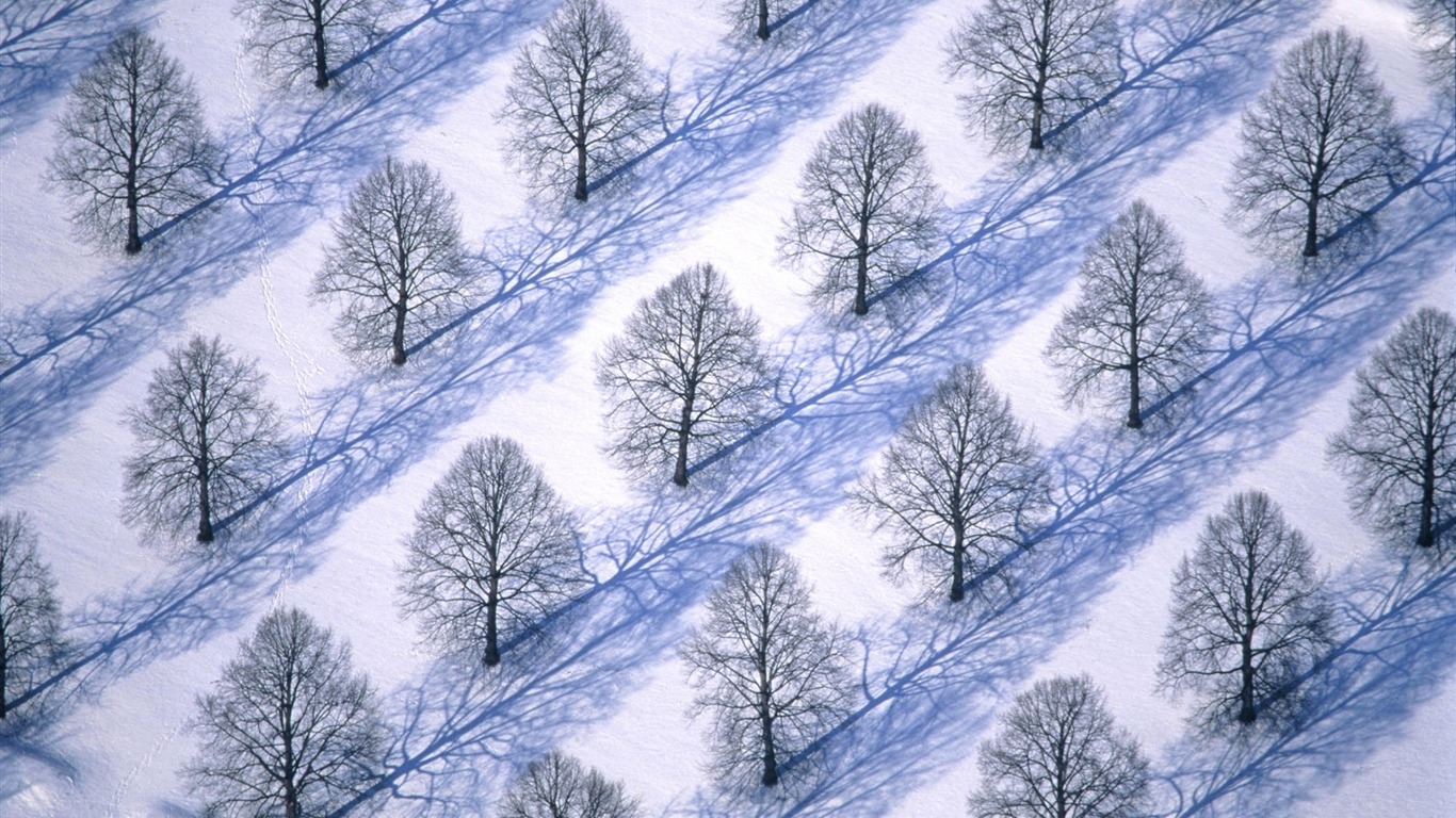 寬屏雪景 壁紙(二) #17 - 1366x768