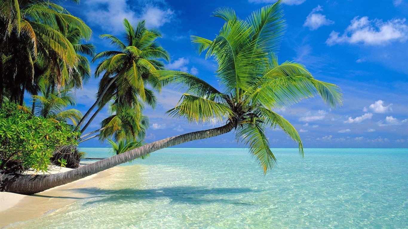 Beach scenery wallpapers (6) #2 - 1366x768