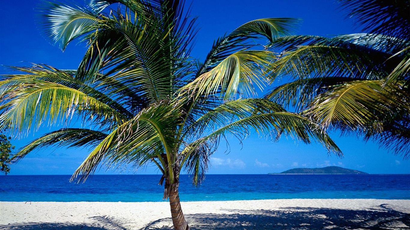Beach Krajina tapety (6) #9 - 1366x768
