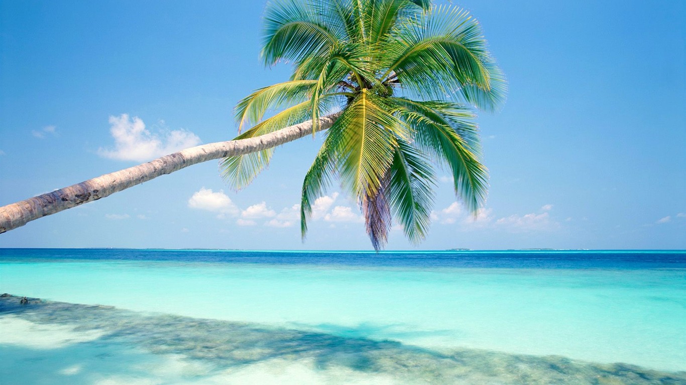 Beach Krajina tapety (6) #12 - 1366x768